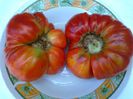 GIANT RED