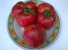 GIANT RED