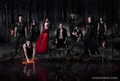 tvd (1)