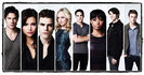 tvd (5)