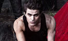 tvd (11)