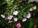 DSC09559