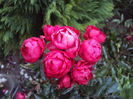 DSC00380