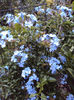 DSC00405