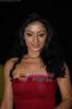 hpse_normal__2530954075_Sonia Singh at Star One_s Dil mil gaye Party in Vie Lounge on 22nd Oct 2010 