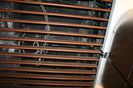IMG_0388