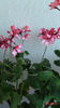 DSC01601