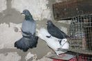 IMG_0541