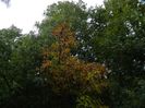 DSCN2934