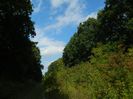 DSCN2951