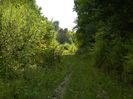 DSCN2957