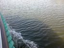 070920134744