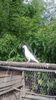 WP_20130922_042