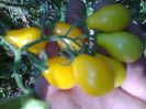 YELLOW PEARSHAPED 1502
