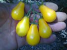 YELLOW PEARSHAPED 1504