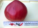 GIANT RED OXHEART 1446