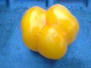 YELLOW STUFFER 1762