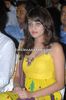 Sneha Ullal South Hot At Madatha Kaja Audio Release Event Images (1)