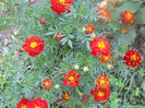 DSCN5118