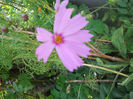 DSCN5122