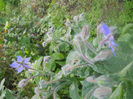 DSCN5156