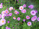 DSCN5157