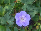 DSCF2843