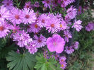DSCF2848