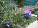 DSCF2873