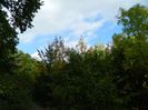 DSCN3031
