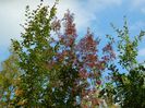 DSCN3033