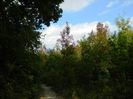 DSCN3039
