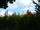 DSCN3044