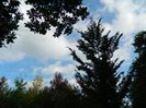 DSCN3045