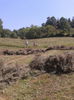 2013-08-05 13.47.15