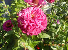 DSCN3061