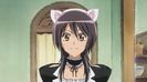 Misaki Ayuzawa