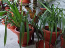 DSCN0488