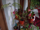 DSCN0489