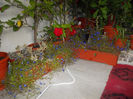 DSCN0492