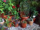 DSCN0493