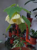 DSCN0507