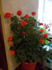 DSCN0495