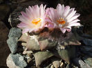 DSCF9186