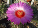 DSCF8853