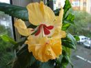 DSC09580
