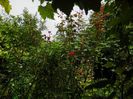 DSCN3356