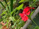 DSCN3371