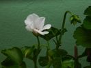 DSCN3427