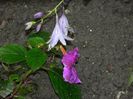 DSCN3446